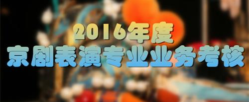 插逼操逼网国家京剧院2016年度京剧表演专业业务考...